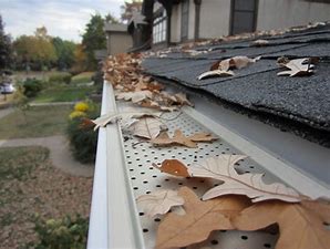 GUTTER GUARD CLEANING